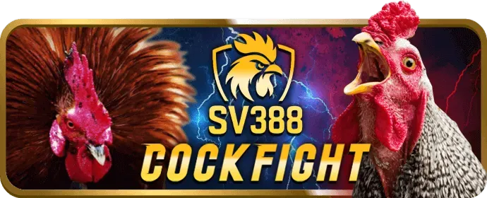 Cá cược eSports tại j886 nhà cái